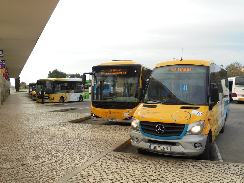 Giro buses
